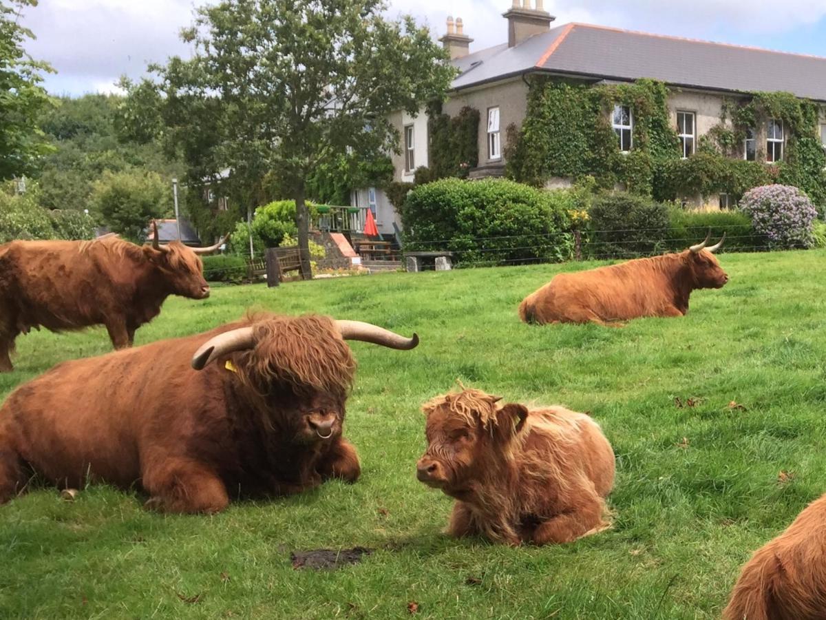 Glendine Country House Wexford Arthurstown Екстериор снимка