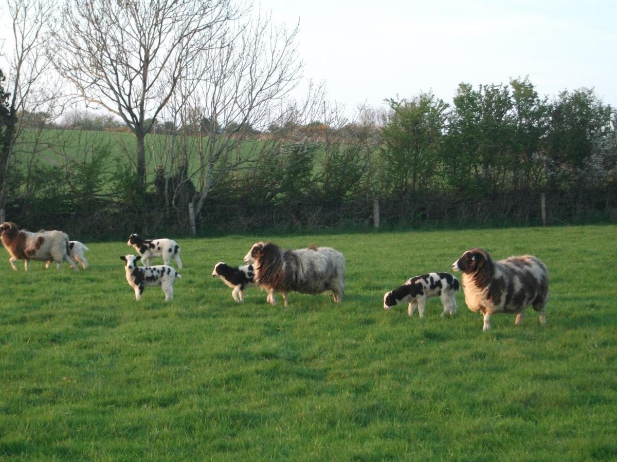 Glendine Country House Wexford Arthurstown Екстериор снимка