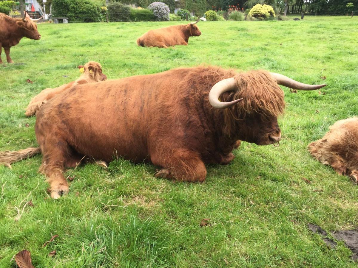 Glendine Country House Wexford Arthurstown Екстериор снимка