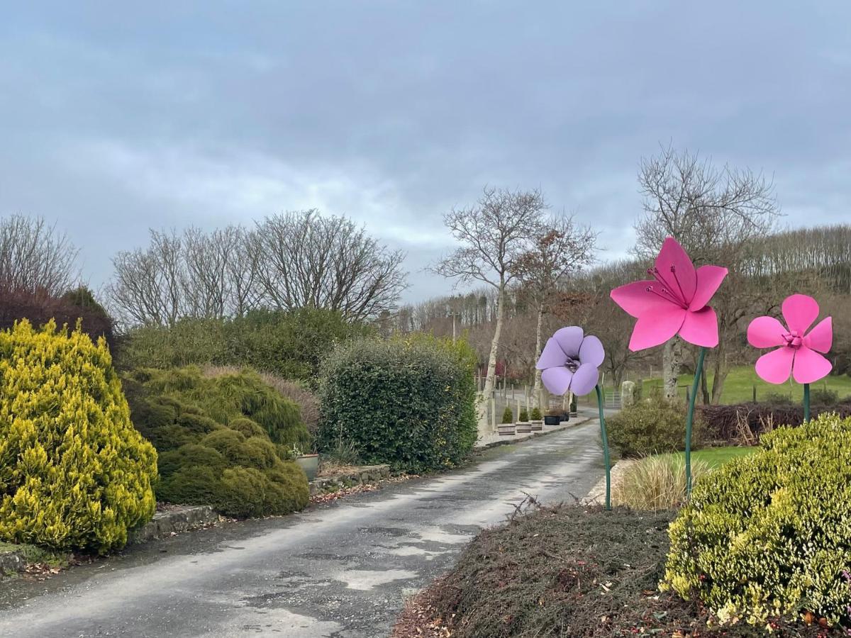 Glendine Country House Wexford Arthurstown Екстериор снимка